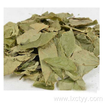 epimedium sagittatum extract tea